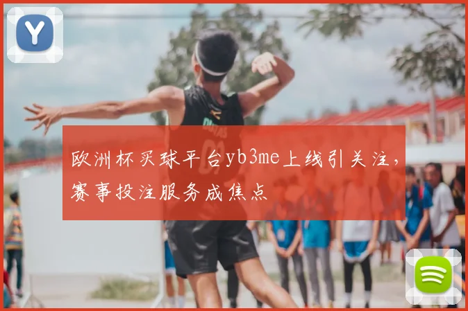 欧洲杯买球平台yb3me上线引关注，赛事投注服务成焦点