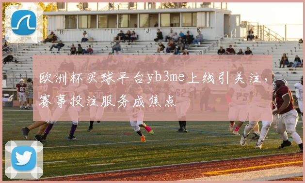 欧洲杯买球平台yb3me上线引关注,赛事投注服务成焦点